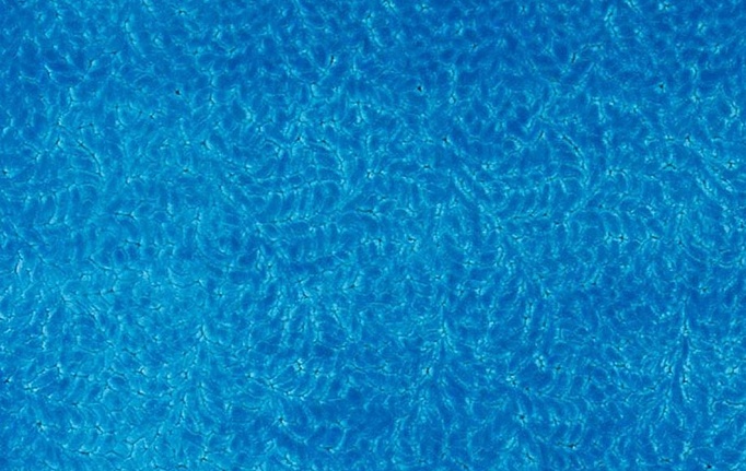Английская ткань Designers Guild, коллекция Cartouche, артикул FDG3087/04