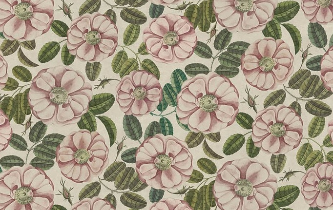 Английская ткань Designers Guild, коллекция Picture Book III, артикул FJD6055/01