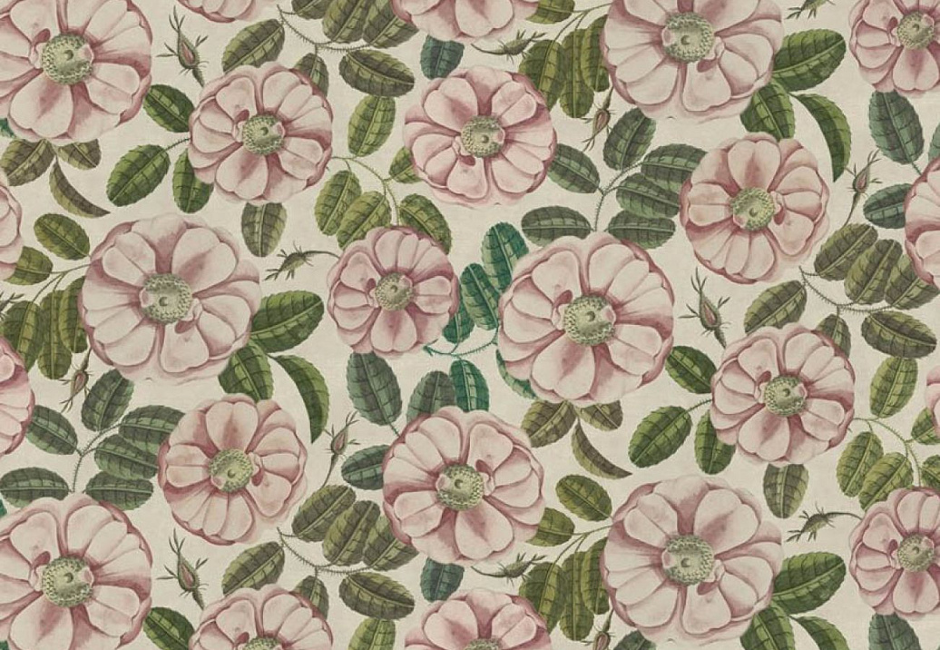 Ткань Designers Guild Picture Book III FJD6055/01