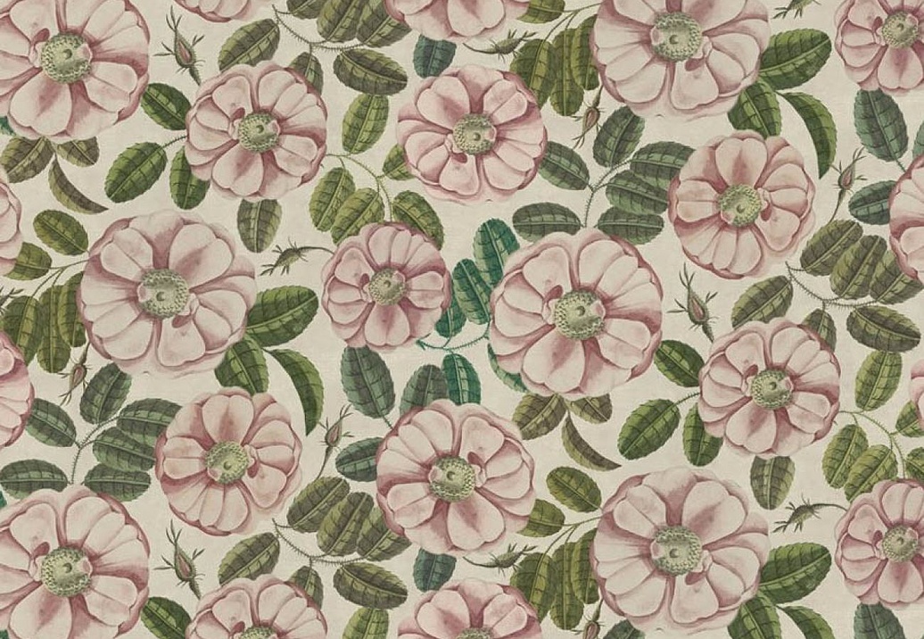 Ткань Designers Guild Picture Book III FJD6055/01
