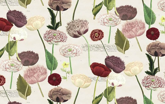 Английская ткань Designers Guild, коллекция Picture Book III, артикул FJD6054/01