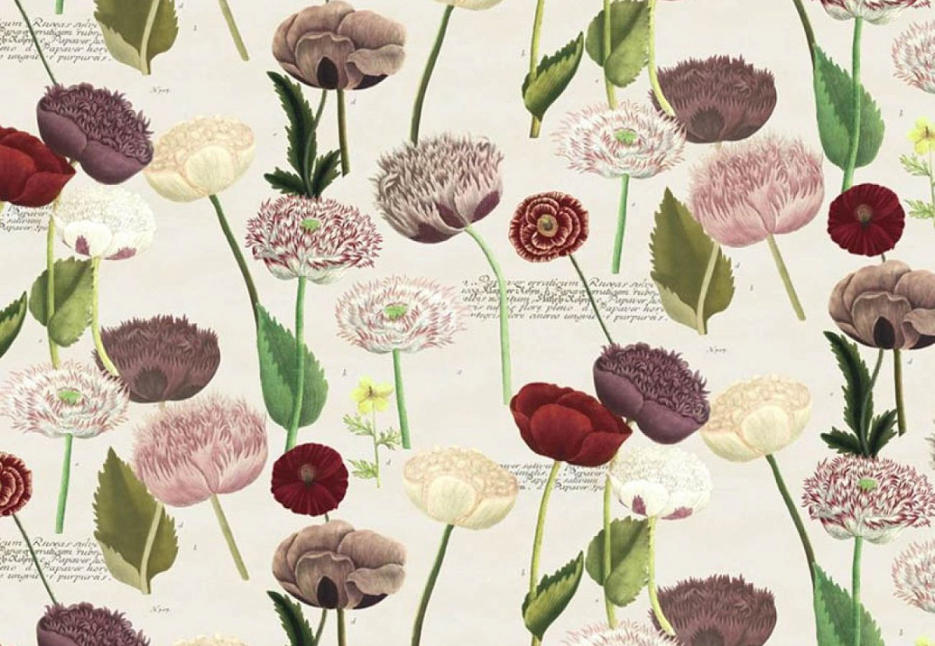 Ткань Designers Guild Picture Book III FJD6054/01