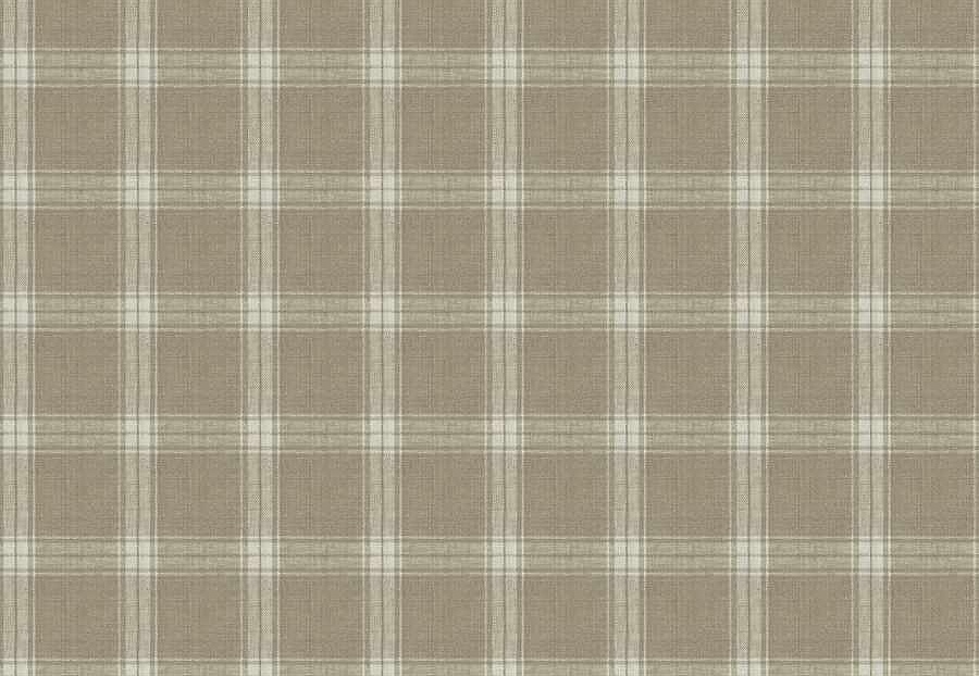 Ткань Fabricut Natural Layers Multipurpose Ratan Sangay/Natural