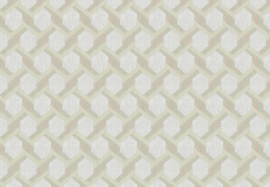 Ткань Fabricut Natural Layers Multipurpose Ratan Brockway/Sand
