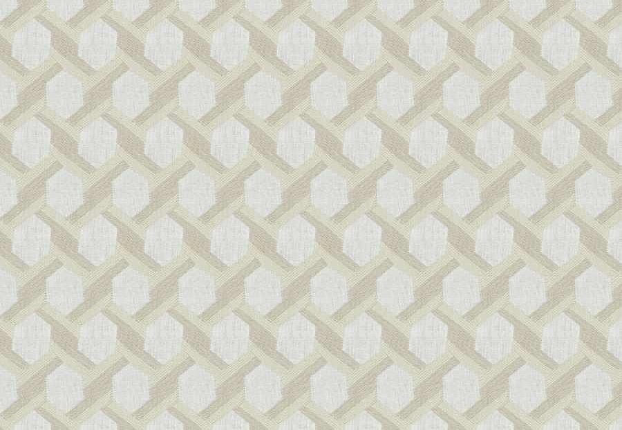 Ткань Fabricut Natural Layers Multipurpose Ratan Brockway/Sand