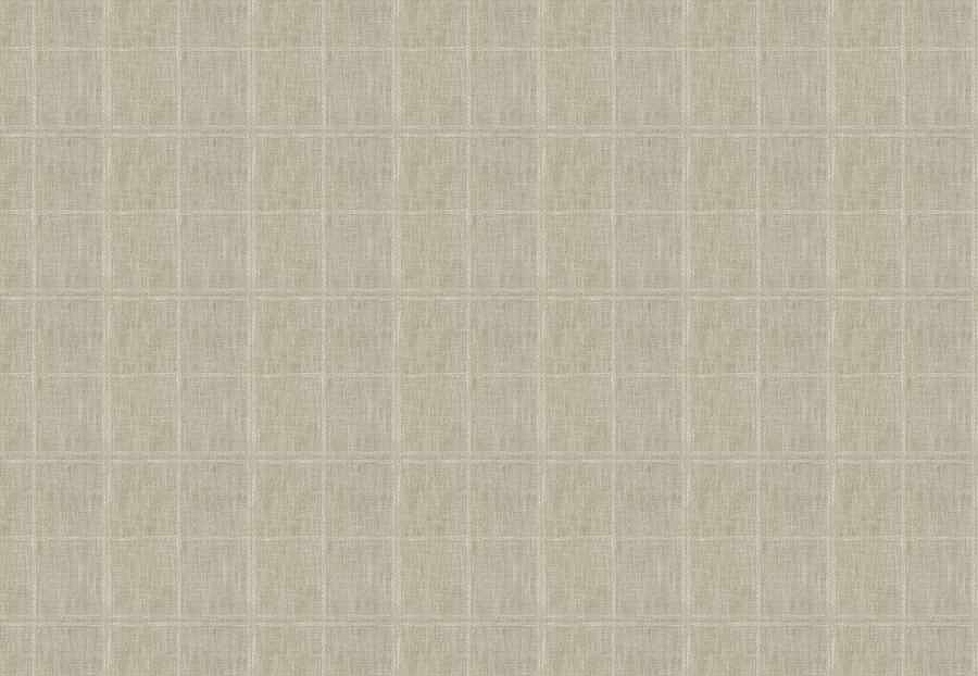 Ткань Fabricut Natural Layers Multipurpose Ratan Antisana/Dove