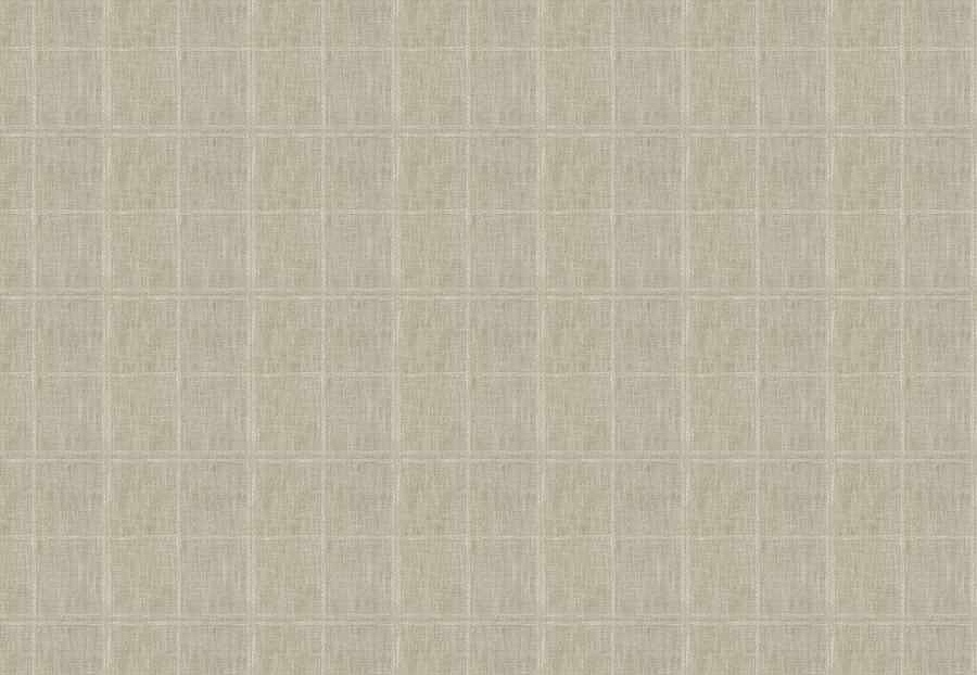 Ткань Fabricut Natural Layers Multipurpose Ratan Antisana/Dove