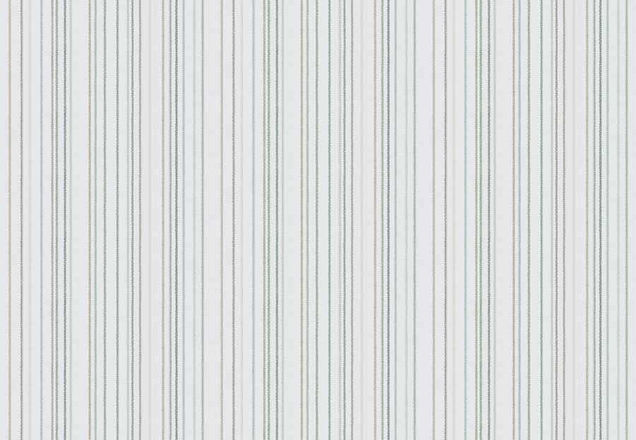 Ткань Fabricut Natural Layers Multipurpose Cedar Sage GoremeStripe/Spa