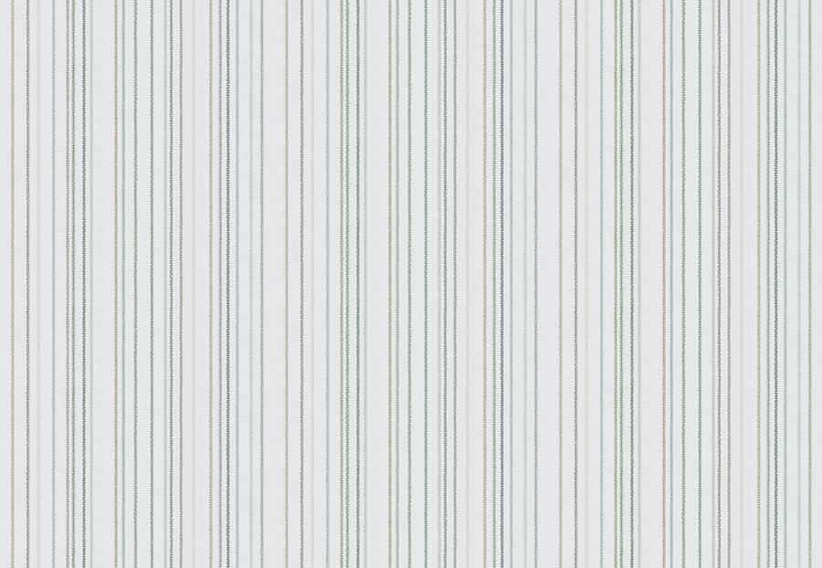 Ткань Fabricut Natural Layers Multipurpose Cedar Sage GoremeStripe/Spa