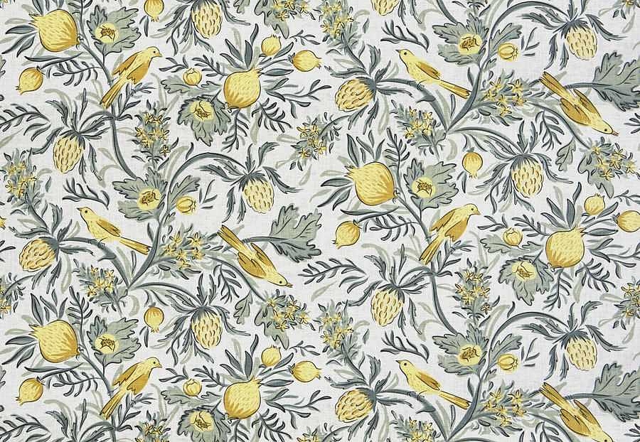 Ткань Fabricut French General Vignettes Jardin Privette/Soleil