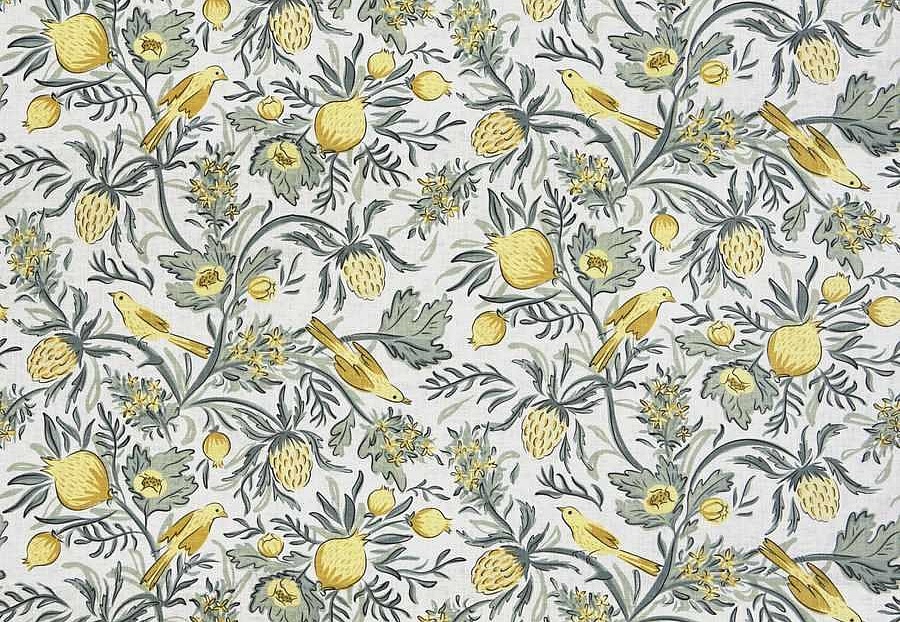 Ткань Fabricut French General Vignettes Jardin Privette/Soleil