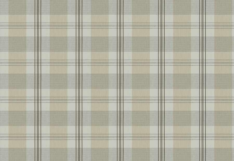 Ткань Fabricut French General Vignettes Linen Apolline/Bisque