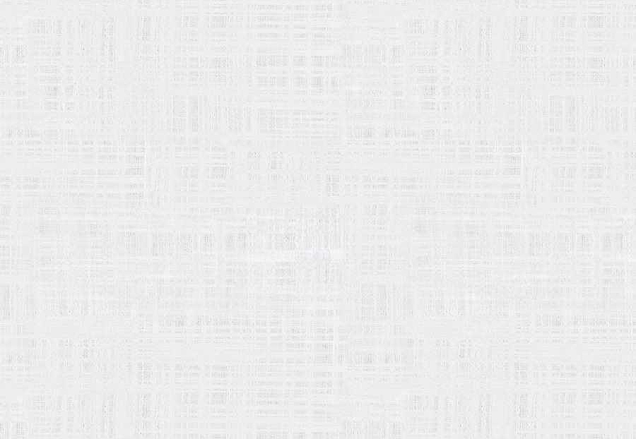 Ткань Fabricut Wide Natural Sheers Textural Breeze Pearl Harmattan/Snow