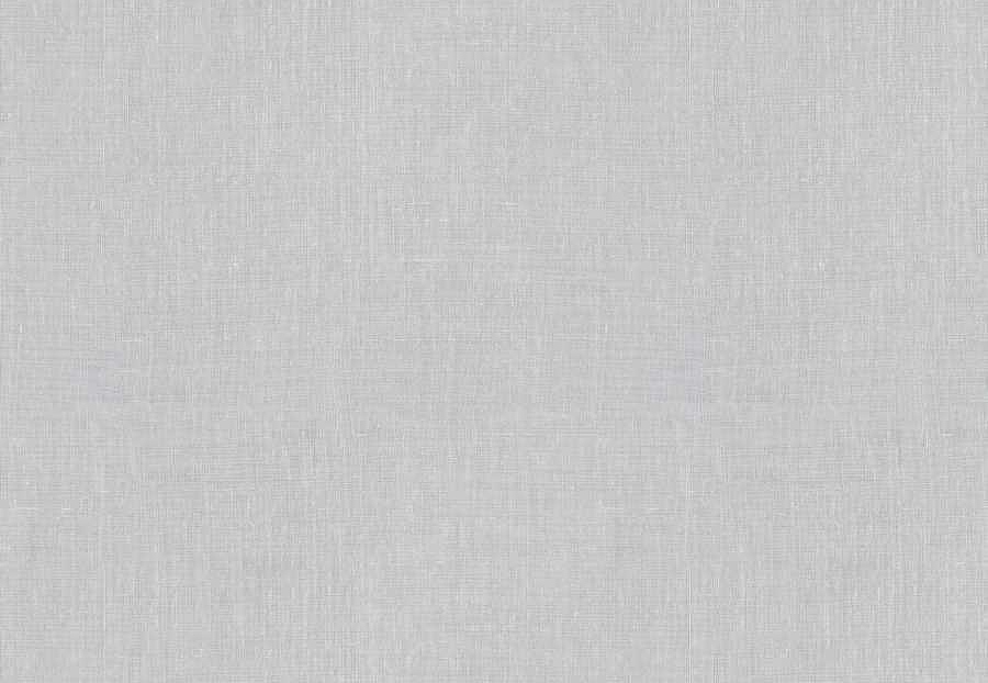 Ткань Fabricut Wide Natural Sheers Textural Breeze Pearl Brisote/Snow