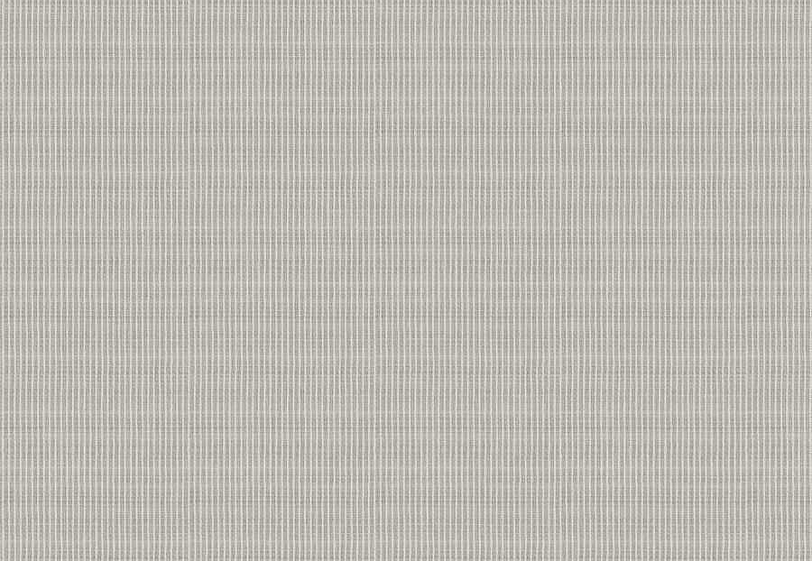 Ткань Fabricut Wide Natural Sheers Textural Breeze Pearl Squall/White