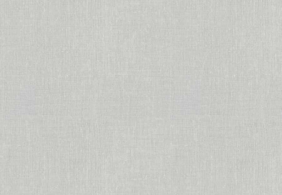 Ткань Fabricut Wide Natural Sheers Textural Breeze Pearl Brisote/White