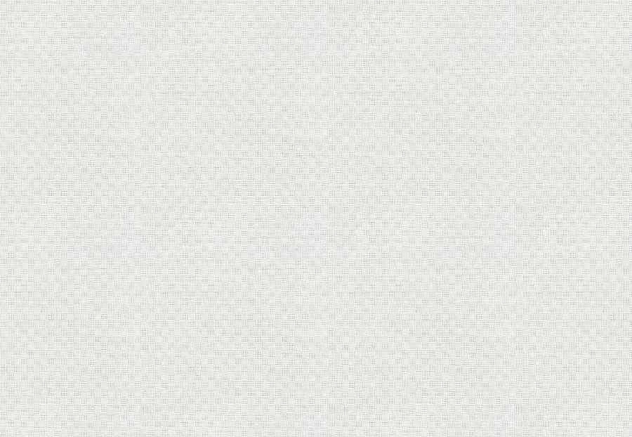 Ткань Fabricut Wide Natural Sheers Textural Breeze Pearl Buran/Snow