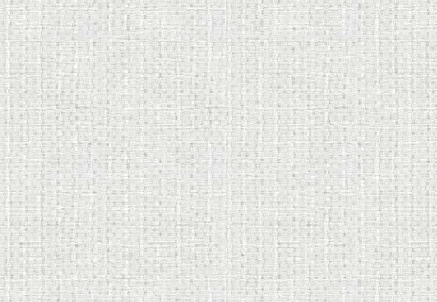 Ткань Fabricut Wide Natural Sheers Textural Breeze Pearl Buran/Snow
