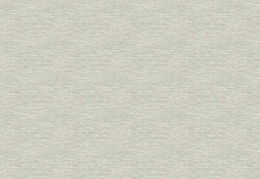 Ткань Fabricut Wide Natural Sheers Textural Breeze Pearl FunnelDiamond/Ivory
