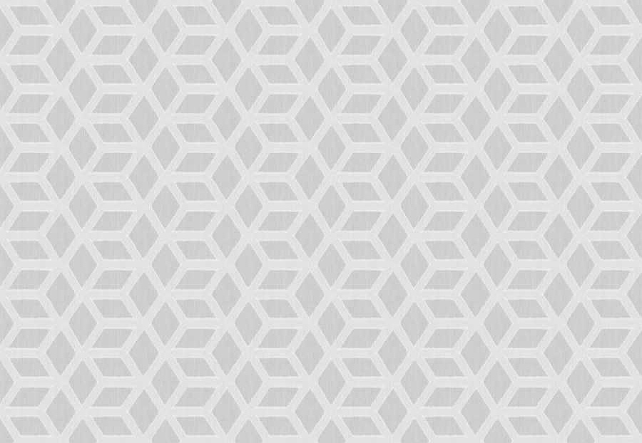 Ткань Fabricut Wide Natural Sheers Textural Breeze Pearl Oluja/Pearl