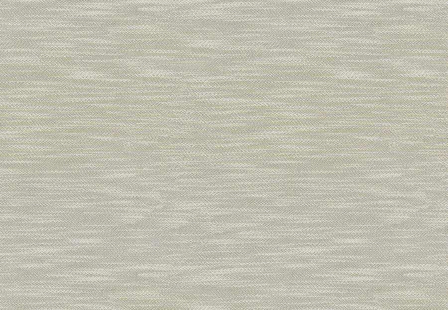Ткань Fabricut Wide Natural Sheers Textural Breeze Pearl Borasco/Fog