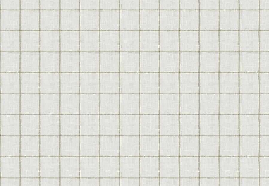 Ткань Fabricut Checks&Stripes Avalon Lane SweetGrass/Natural