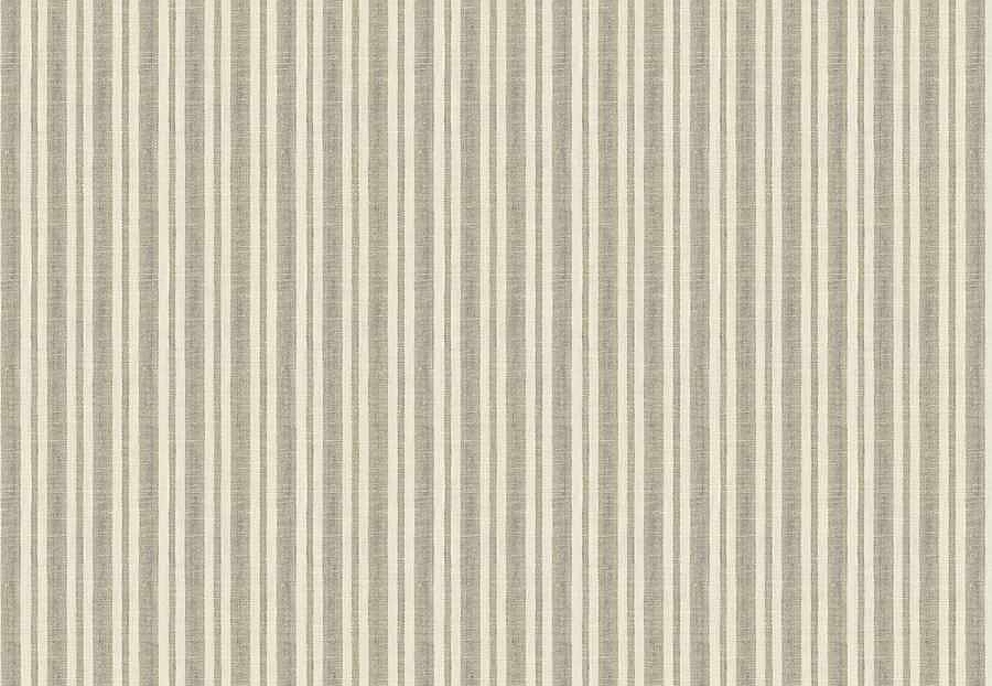 Ткань Fabricut Checks&Stripes Avalon Lane Drought/Natural