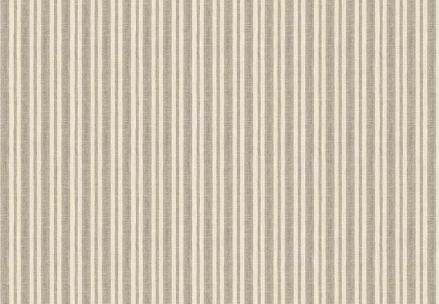 Ткань Fabricut Checks&Stripes Avalon Lane Drought/Natural