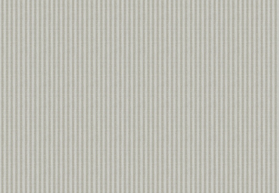 Ткань Fabricut Checks&Stripes Avalon Lane Lincoln/Macadamia