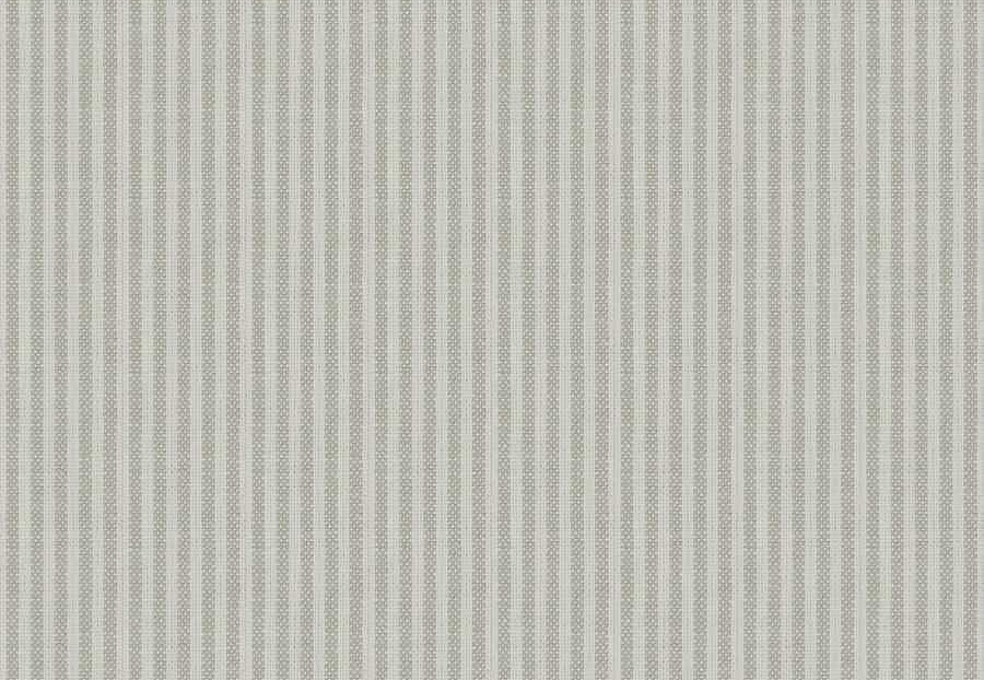 Ткань Fabricut Checks&Stripes Avalon Lane Lincoln/Macadamia