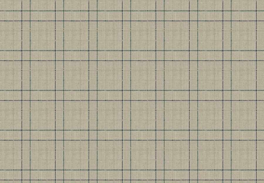 Ткань Fabricut Checks&Stripes Avalon Lane BishopCheck/Rain