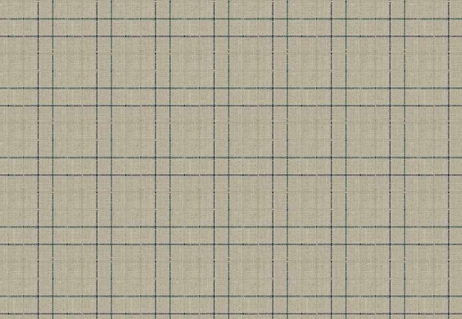 Ткань Fabricut Checks&Stripes Avalon Lane BishopCheck/Rain