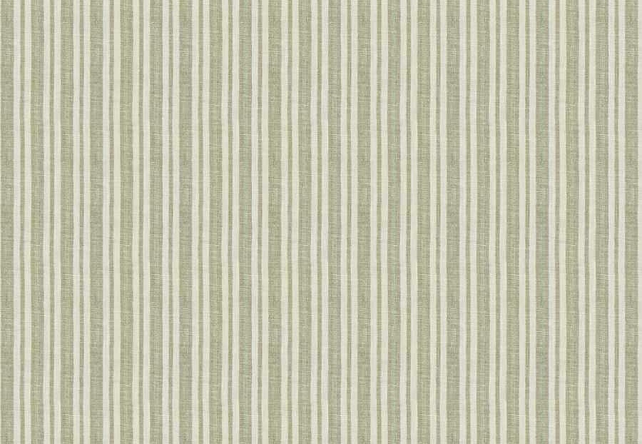 Ткань Fabricut Checks&Stripes Avalon Lane Drought/Cactus