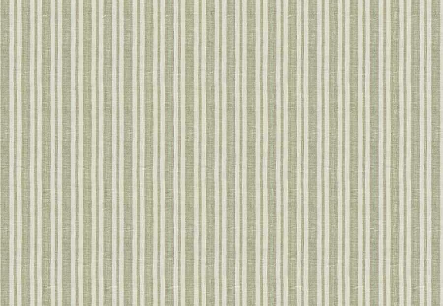 Ткань Fabricut Checks&Stripes Avalon Lane Drought/Cactus