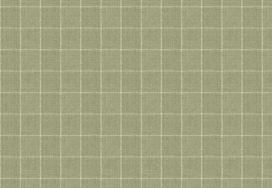 Ткань Fabricut Checks&Stripes Avalon Lane SweetGrass/Cactus