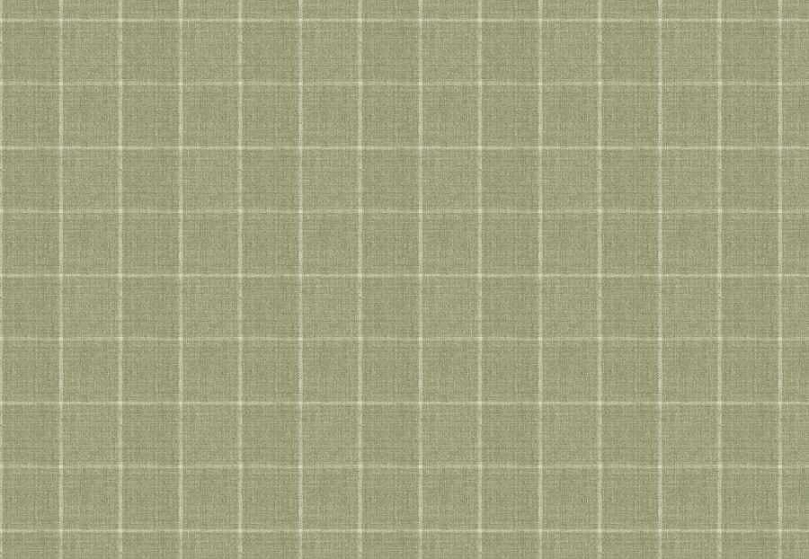 Ткань Fabricut Checks&Stripes Avalon Lane SweetGrass/Cactus