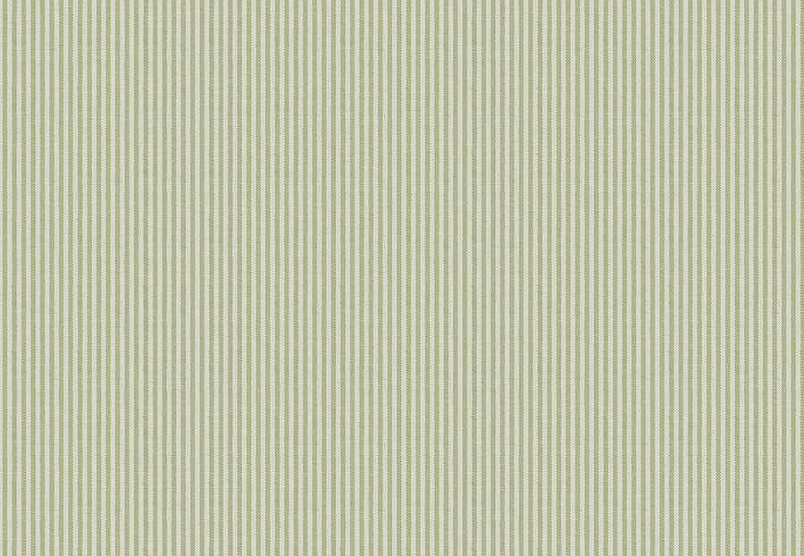 Ткань Fabricut Checks&Stripes Avalon Lane Lincoln/Grass