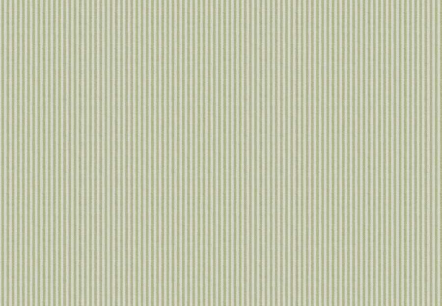 Ткань Fabricut Checks&Stripes Avalon Lane Lincoln/Grass