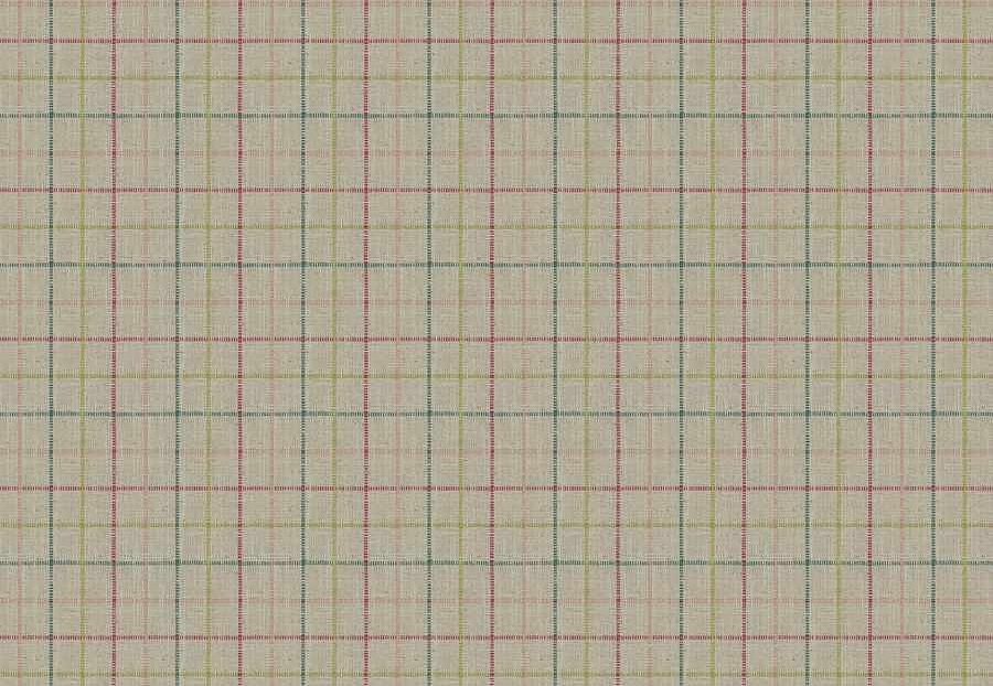 Ткань Fabricut Checks&Stripes Avalon Lane BishopCheck/Garden