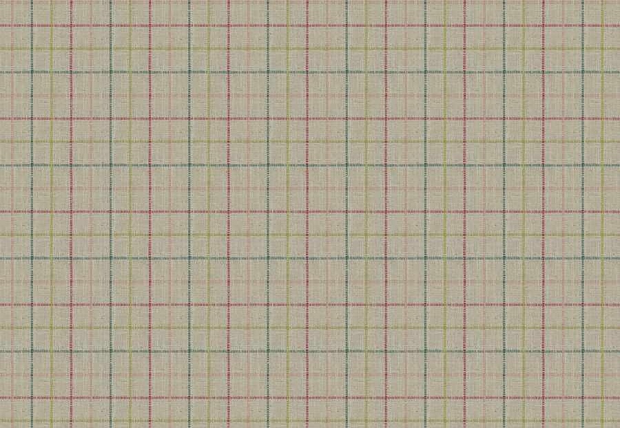 Ткань Fabricut Checks&Stripes Avalon Lane BishopCheck/Garden