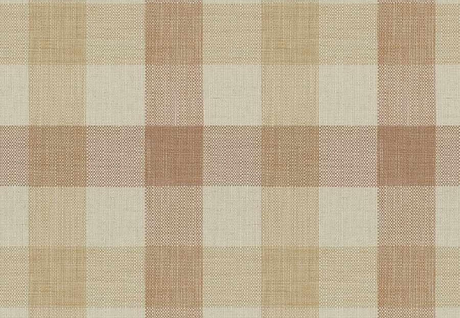 Ткань Fabricut Checks&Stripes Avalon Lane Landslide/Ginger