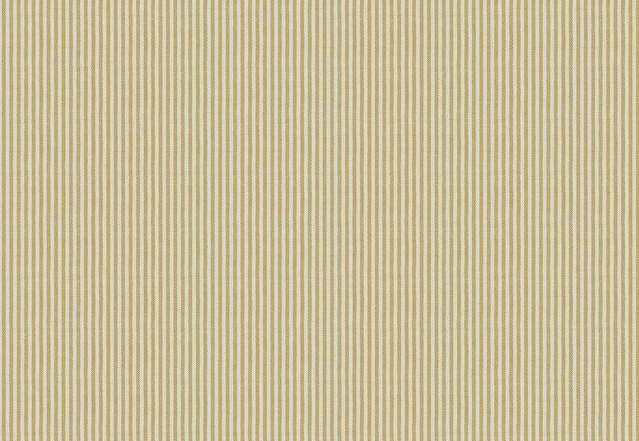 Ткань Fabricut Checks&Stripes Avalon Lane Lincoln/Goldenrod