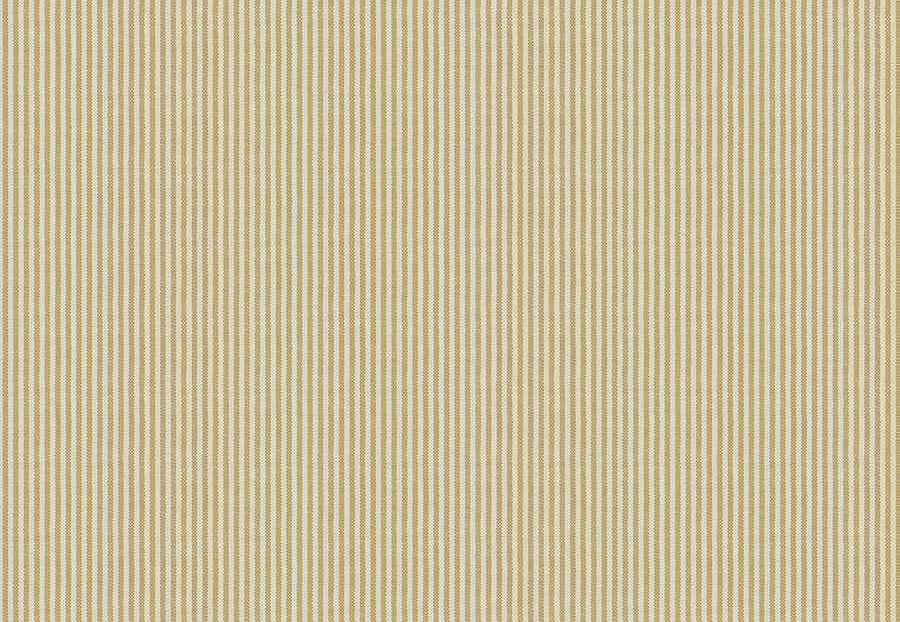 Ткань Fabricut Checks&Stripes Avalon Lane Lincoln/Goldenrod