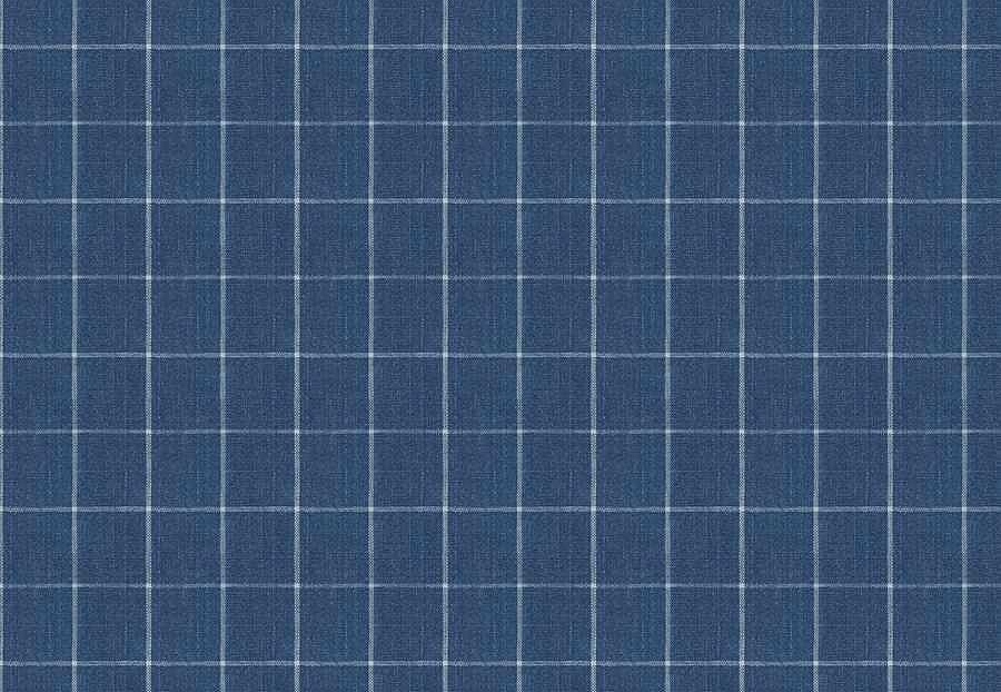 Ткань Fabricut Checks&Stripes Avalon Lane SweetGrass/Cobalt