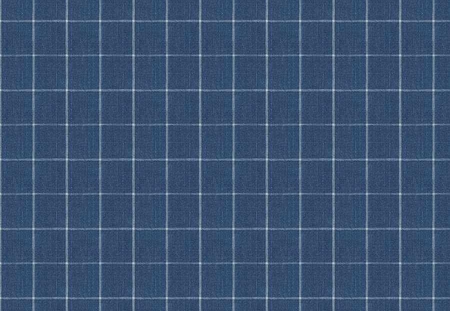 Ткань Fabricut Checks&Stripes Avalon Lane SweetGrass/Cobalt