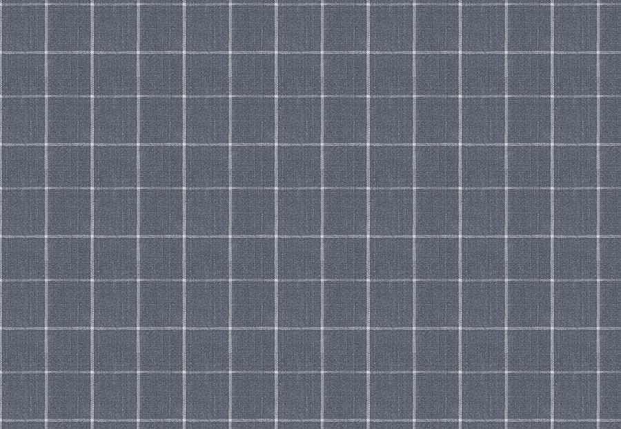 Ткань Fabricut Checks&Stripes Avalon Lane SweetGrass/Indigo