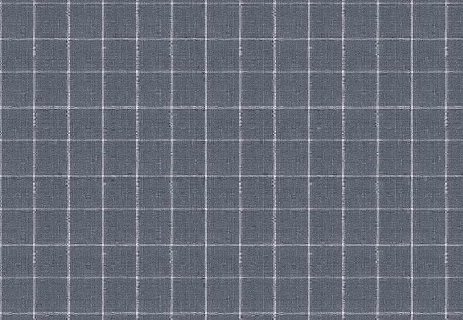 Ткань Fabricut Checks&Stripes Avalon Lane SweetGrass/Indigo
