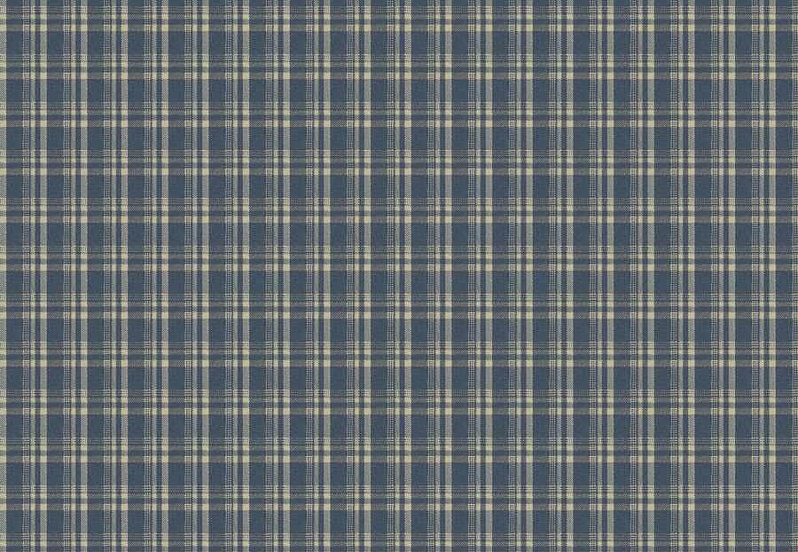 Ткань Fabricut Checks&Stripes Avalon Lane Tornado/Indigo