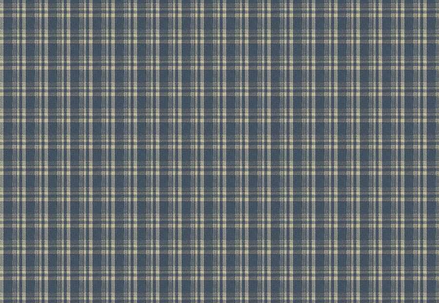 Ткань Fabricut Checks&Stripes Avalon Lane Tornado/Indigo
