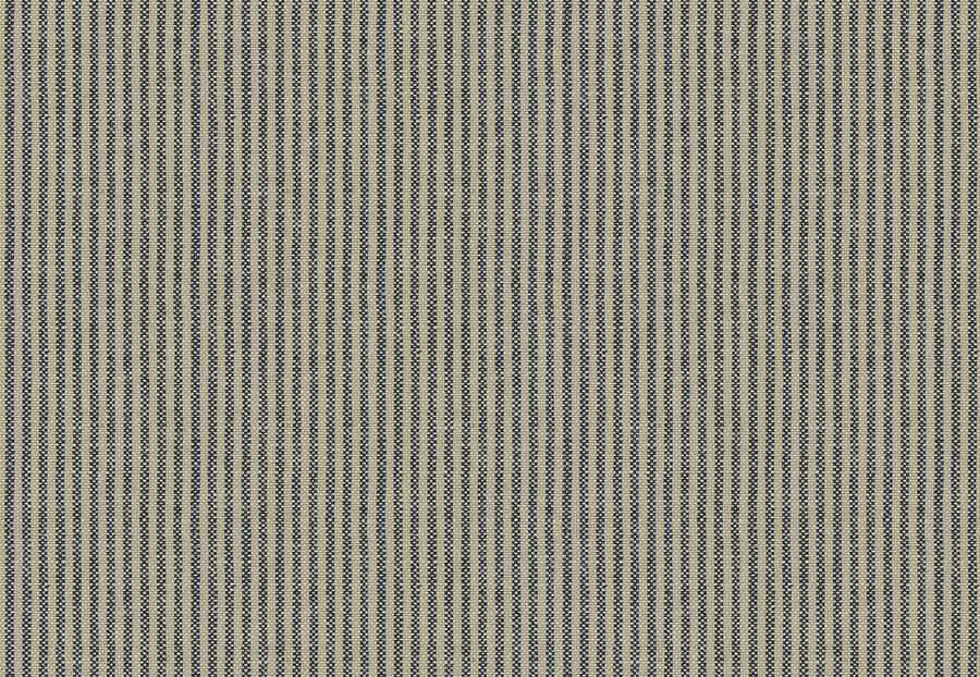 Ткань Fabricut Checks&Stripes Avalon Lane Bitterroot/Indigo